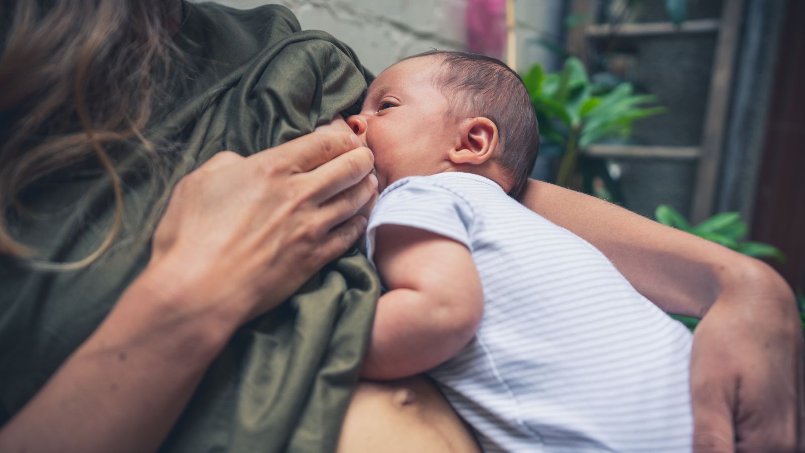 foto k clanku 1600 × 900 px 76